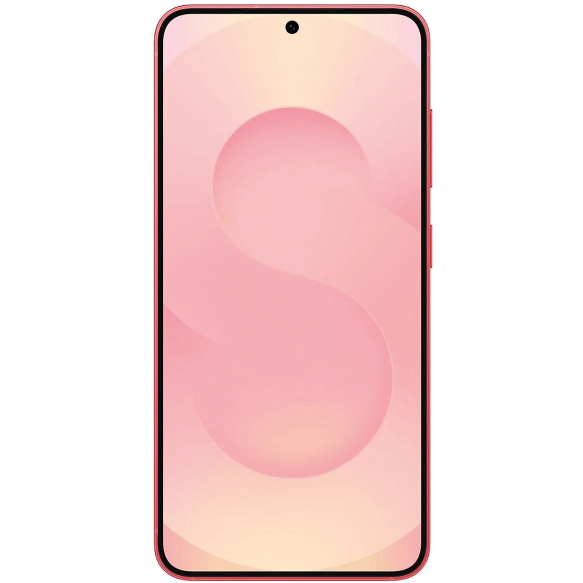 Samsung Galaxy S25 Plus Ricondizionato