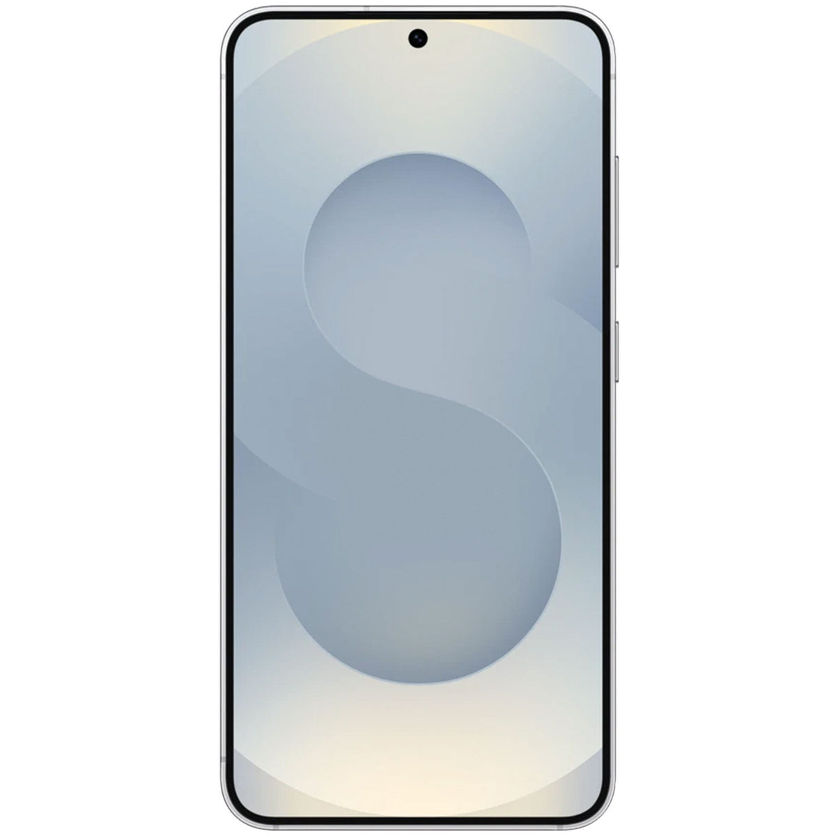 Samsung Galaxy S25 Plus Ricondizionato